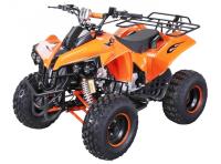 Quad / ATV / Motocross